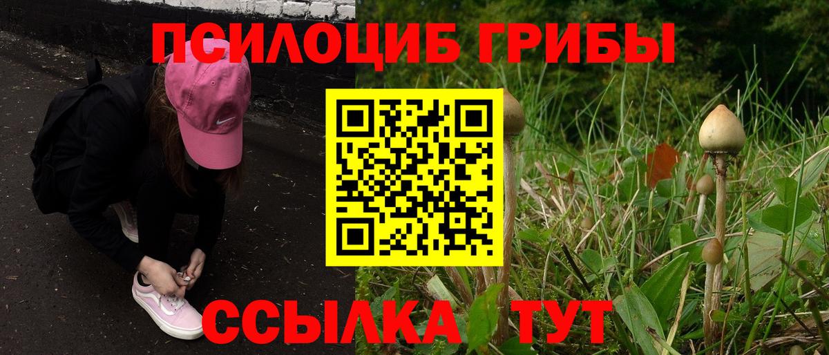 Можайск  Псилоцибиновые грибы GOLDEN TEACHER  Псилоцибиновые грибы Cubensis  Вход с VPN 