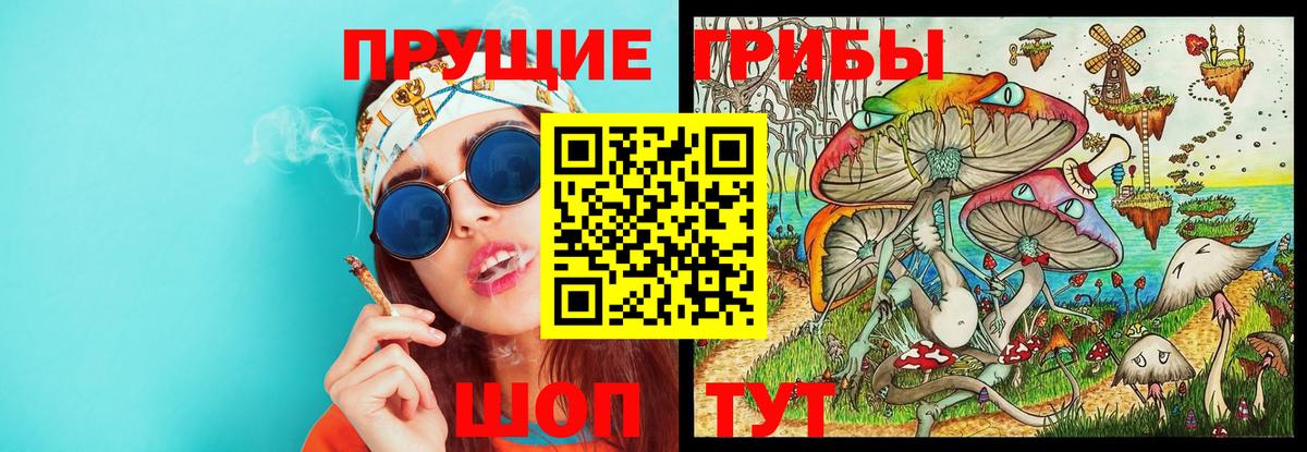 Псилоцибиновые грибы Psilocybe Можайск